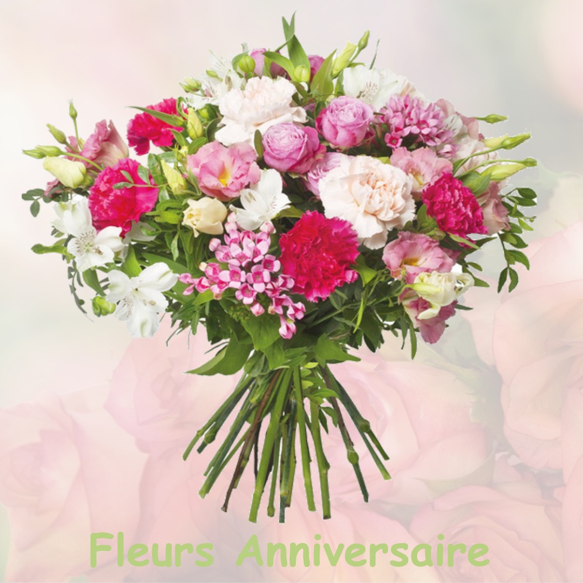 fleurs anniversaire MONTLIEU-LA-GARDE